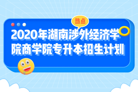 湖南涉外經濟學院商學院專升本