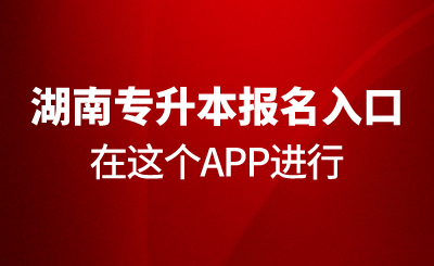 2024年湖南專升本報名入口在這個APP進行