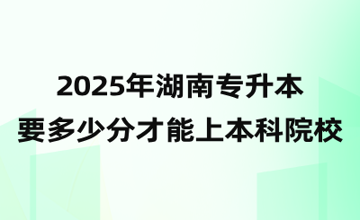 2025年湖南專升本要多少分才能上本科院校？