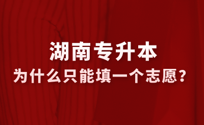 湖南專升本為什么只能填一個(gè)志愿?